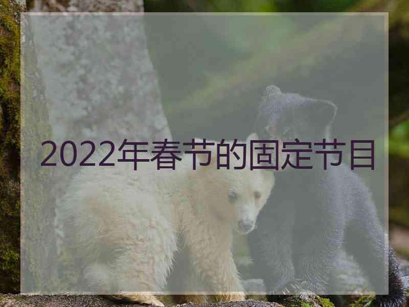 2022年春节的固定节目