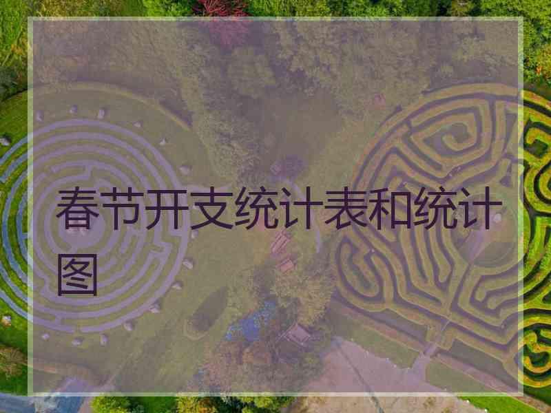 春节开支统计表和统计图