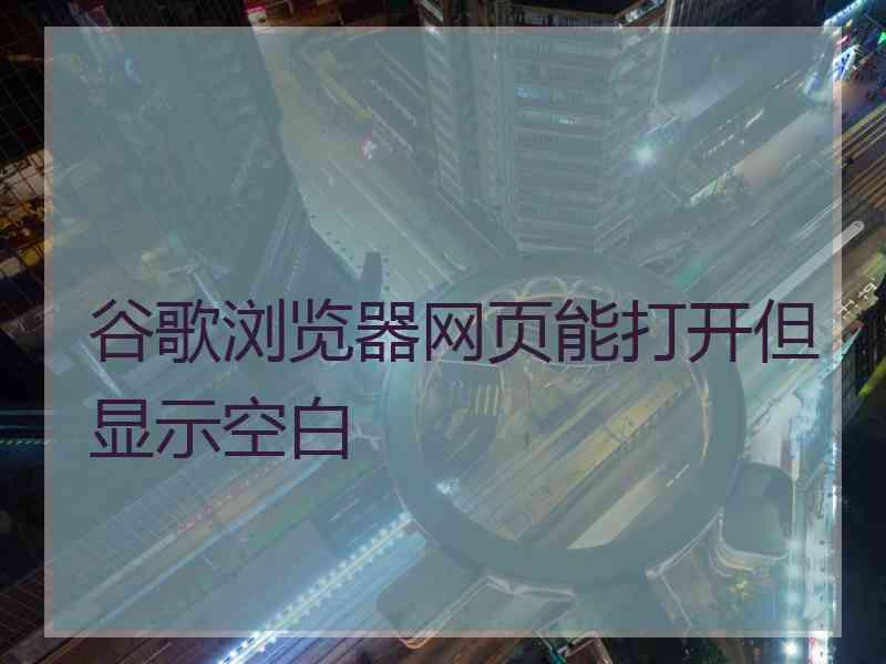 谷歌浏览器网页能打开但显示空白