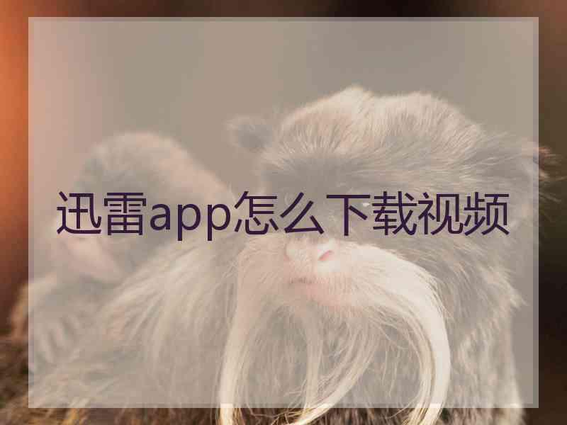 迅雷app怎么下载视频