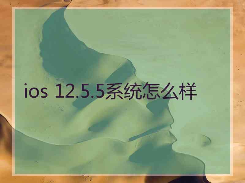 ios 12.5.5系统怎么样