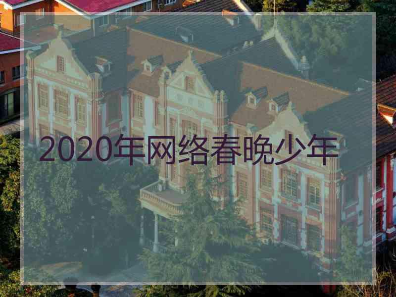 2020年网络春晚少年