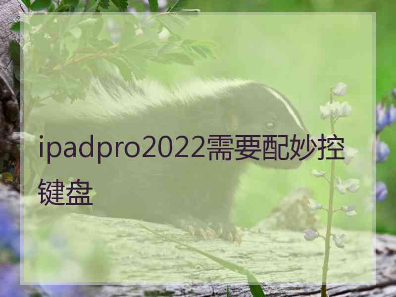 ipadpro2022需要配妙控键盘