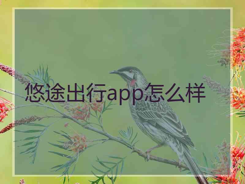 悠途出行app怎么样