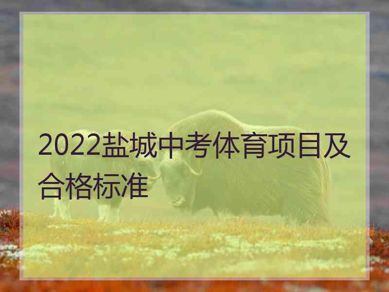 2022盐城中考体育项目及合格标准