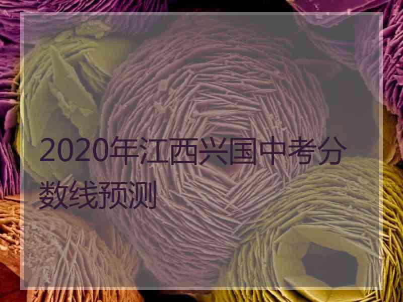 2020年江西兴国中考分数线预测