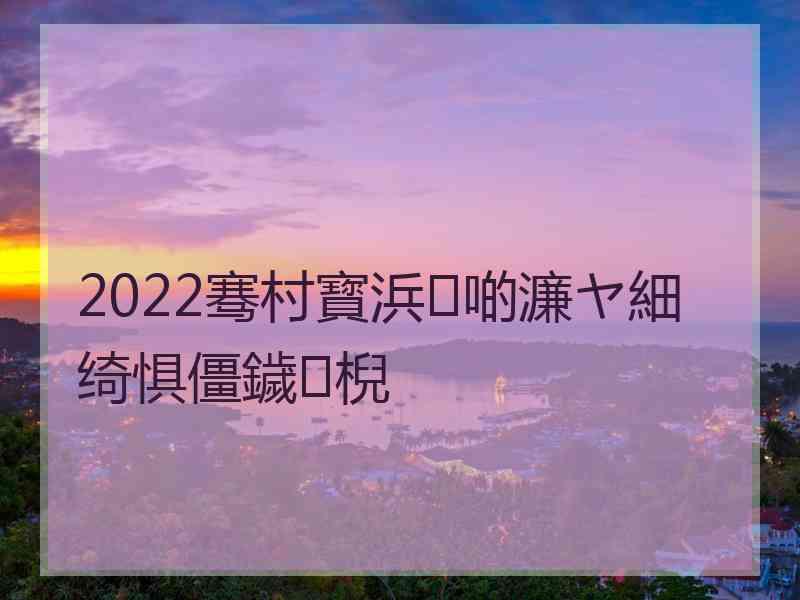 2022骞村寳浜啲濂ヤ細绮惧僵鐬棿