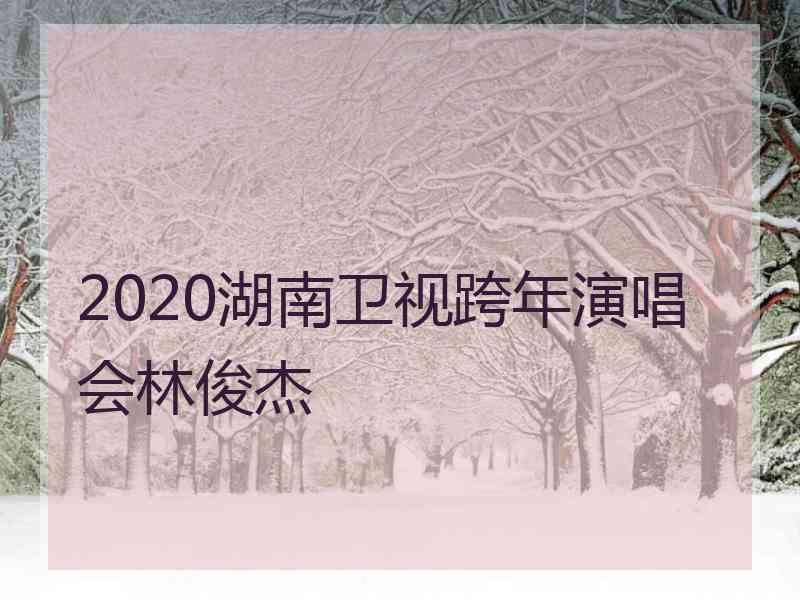 2020湖南卫视跨年演唱会林俊杰