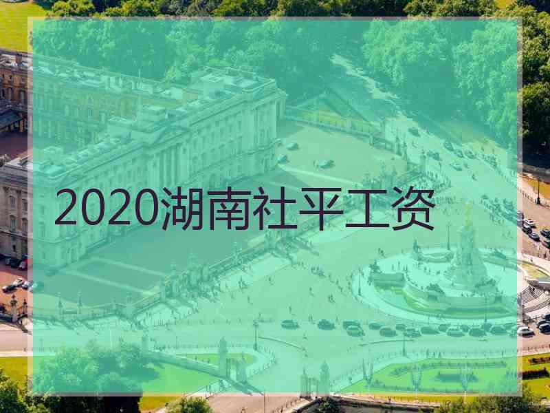 2020湖南社平工资