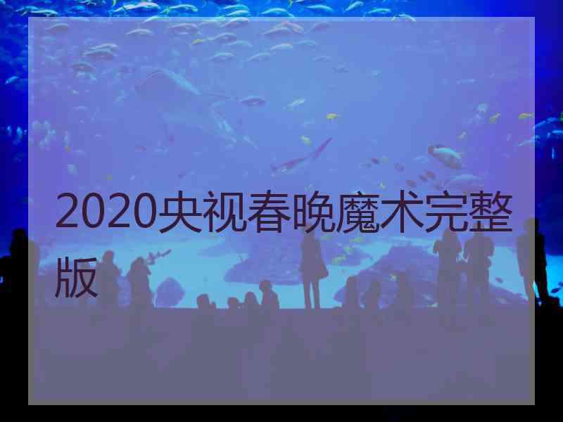 2020央视春晚魔术完整版