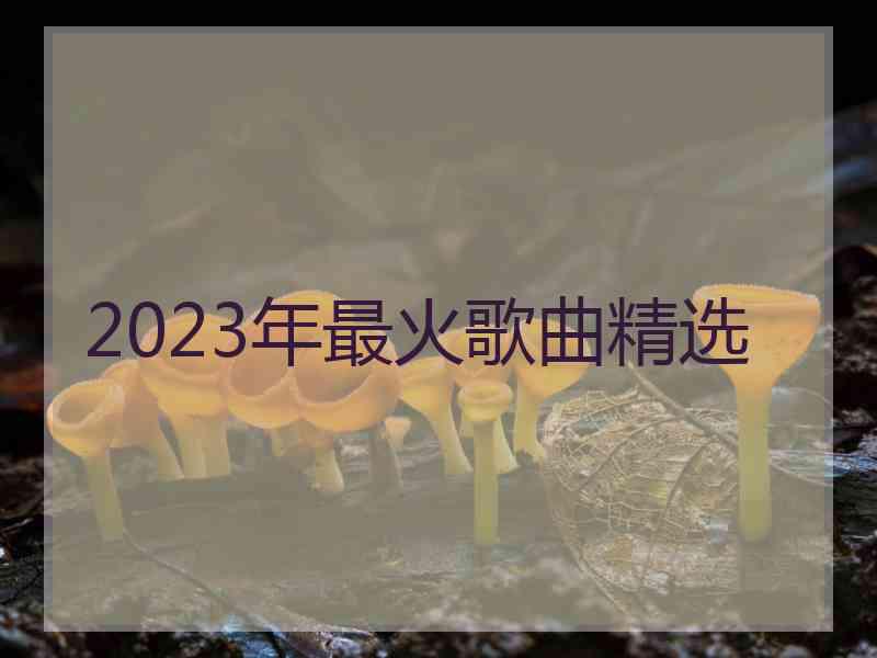 2023年最火歌曲精选