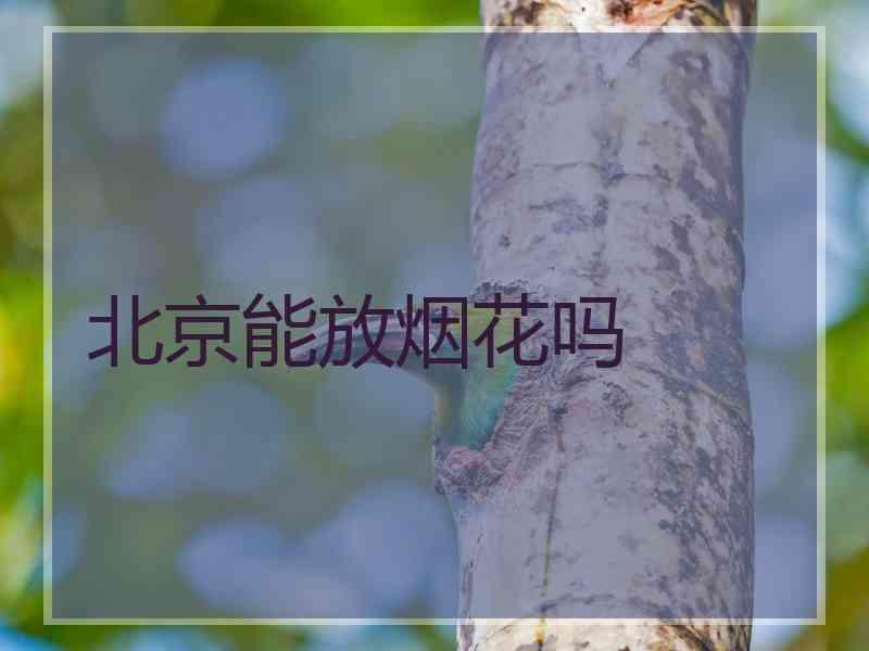 北京能放烟花吗