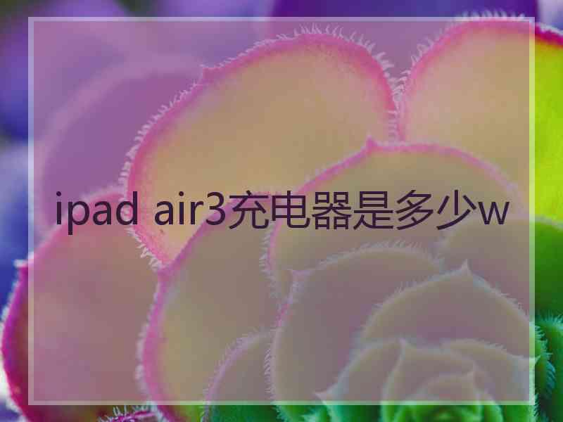 ipad air3充电器是多少w