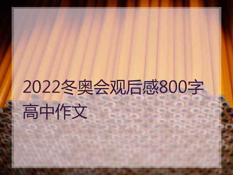 2022冬奥会观后感800字高中作文