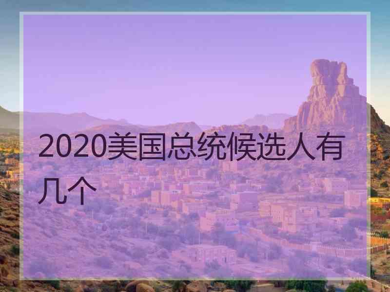 2020美国总统候选人有几个