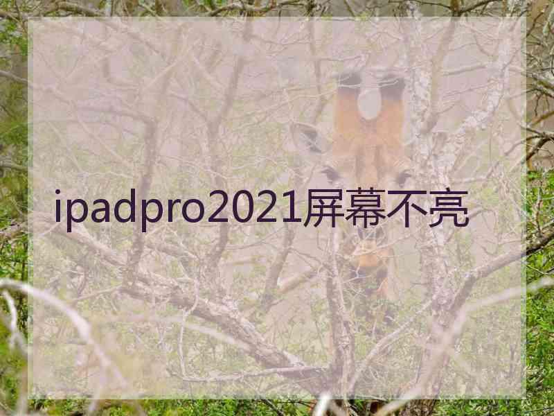 ipadpro2021屏幕不亮