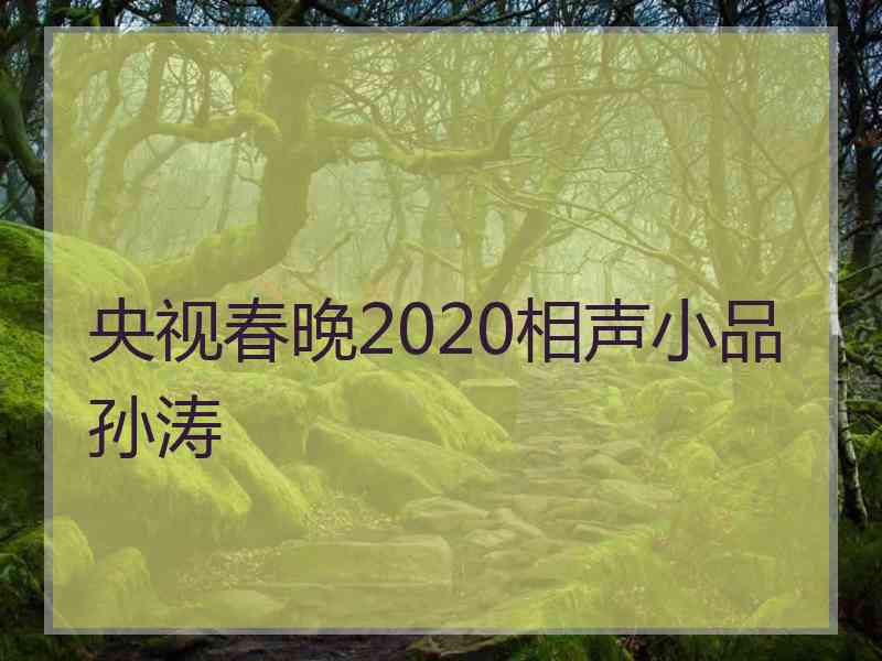 央视春晚2020相声小品孙涛