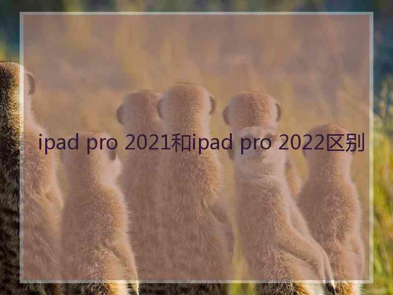 ipad pro 2021和ipad pro 2022区别