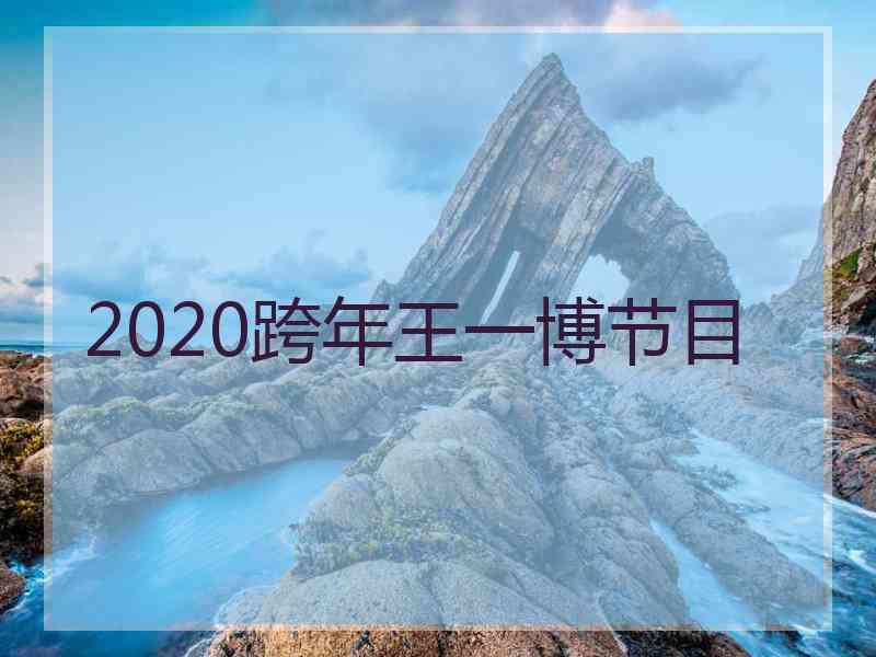 2020跨年王一博节目