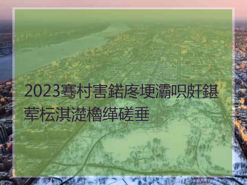 2023骞村害鍩庝埂灞呮皯鍖荤枟淇濋櫓缂磋垂