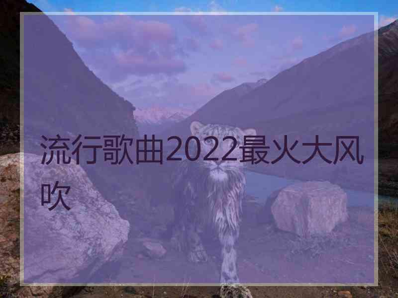 流行歌曲2022最火大风吹