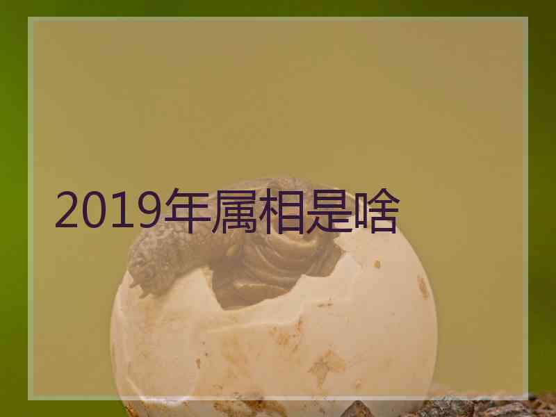 2019年属相是啥