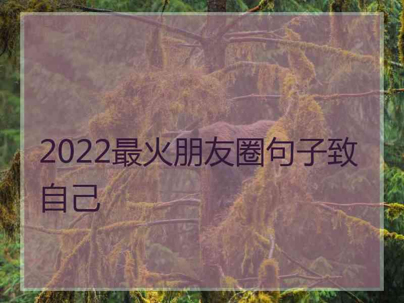 2022最火朋友圈句子致自己