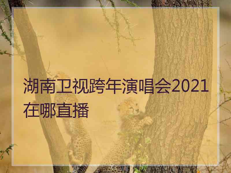 湖南卫视跨年演唱会2021在哪直播