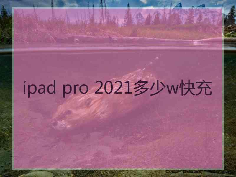 ipad pro 2021多少w快充