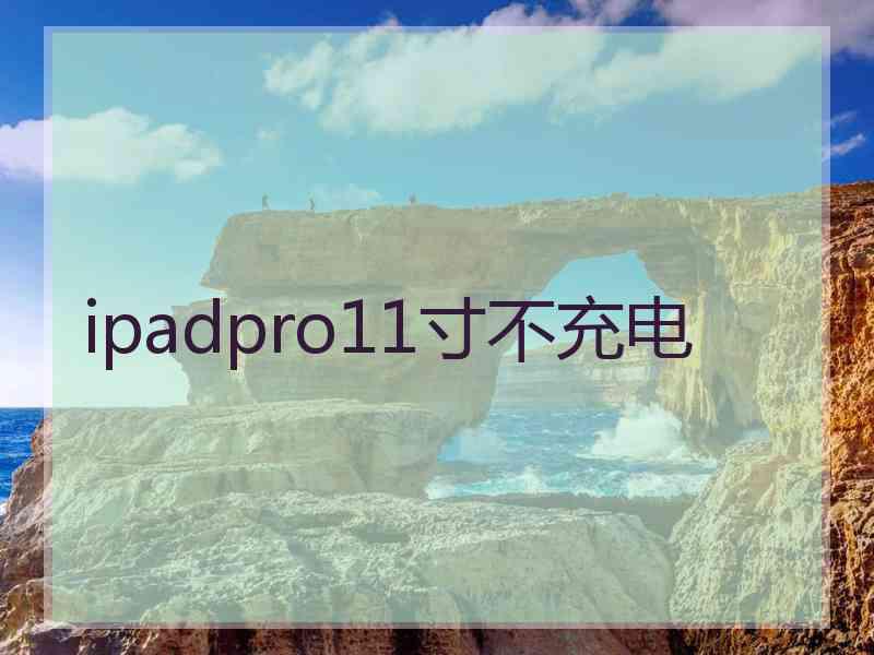 ipadpro11寸不充电