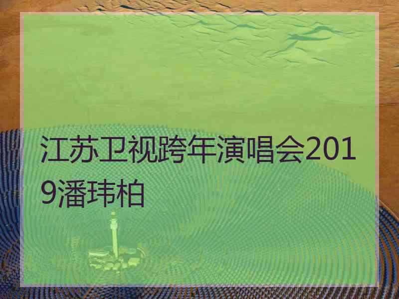 江苏卫视跨年演唱会2019潘玮柏