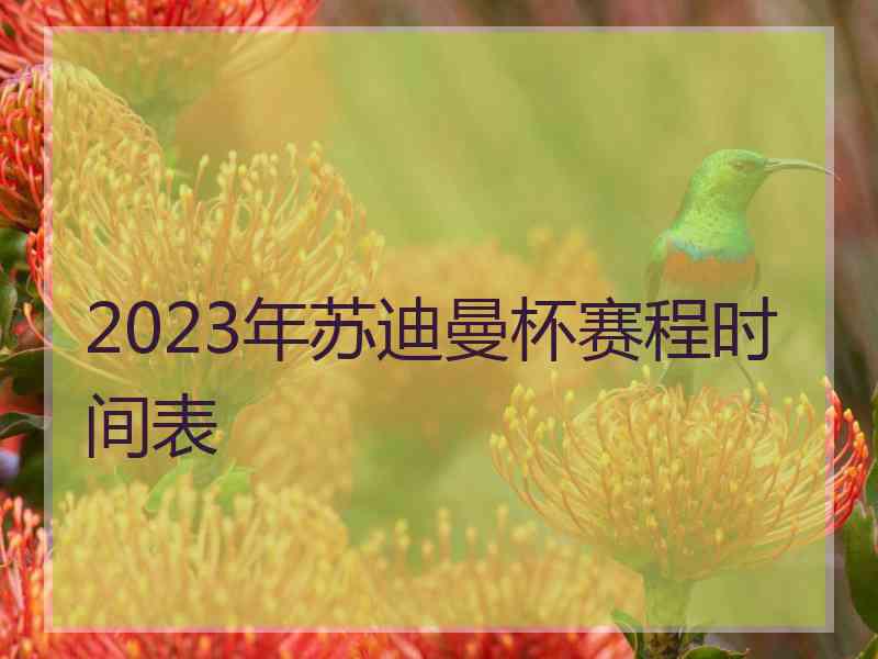 2023年苏迪曼杯赛程时间表