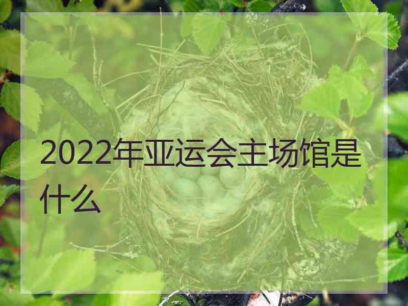 2022年亚运会主场馆是什么