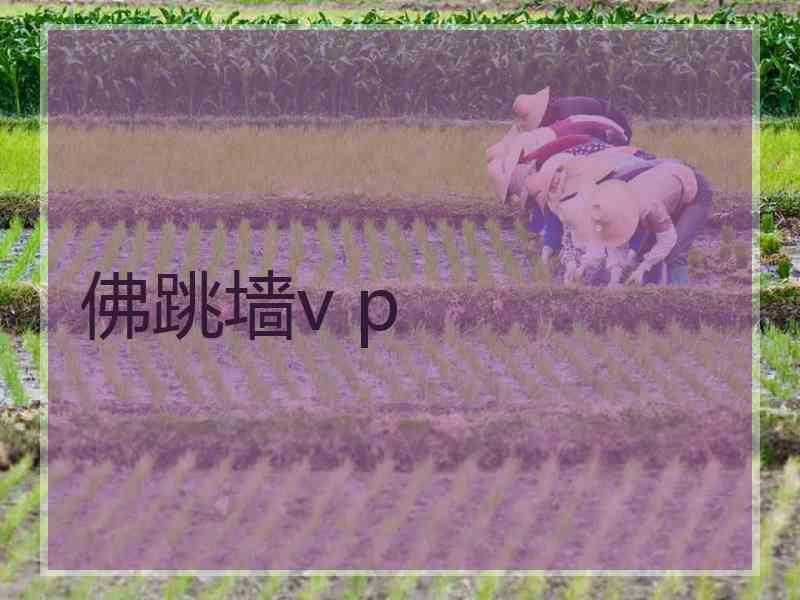 佛跳墙v p