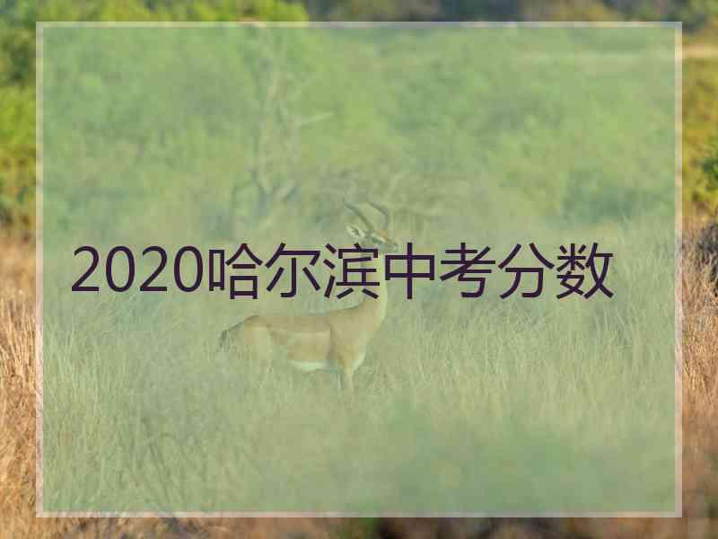 2020哈尔滨中考分数