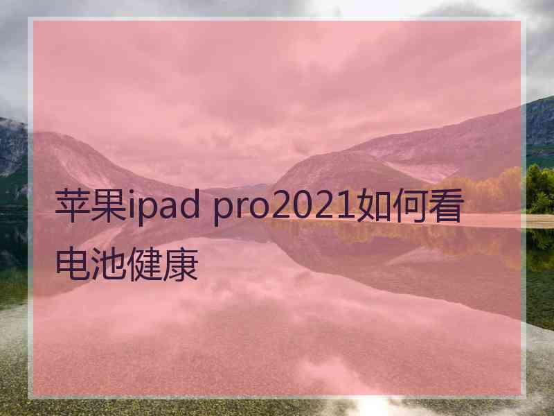 苹果ipad pro2021如何看电池健康