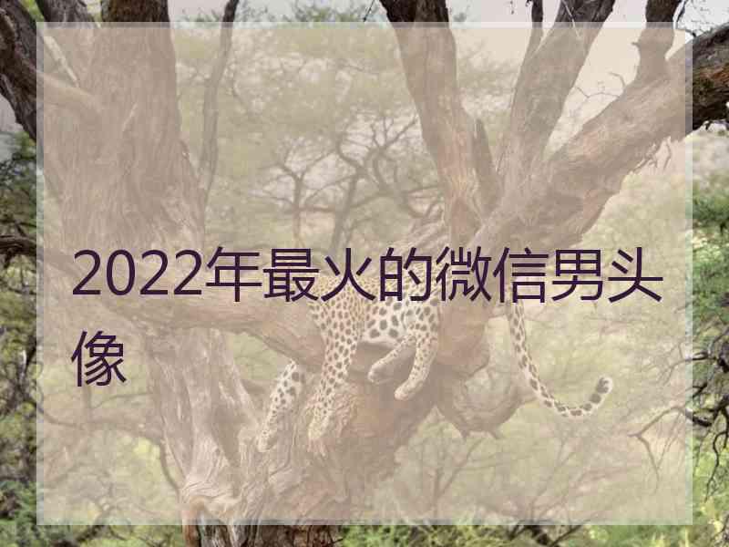 2022年最火的微信男头像