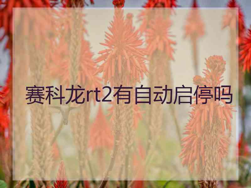 赛科龙rt2有自动启停吗