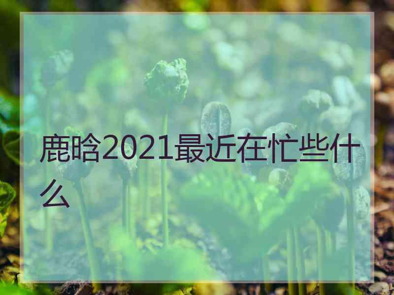 鹿晗2021最近在忙些什么