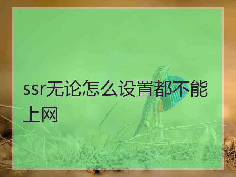 ssr无论怎么设置都不能上网