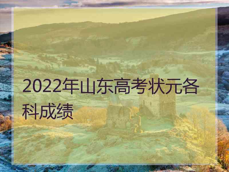 2022年山东高考状元各科成绩