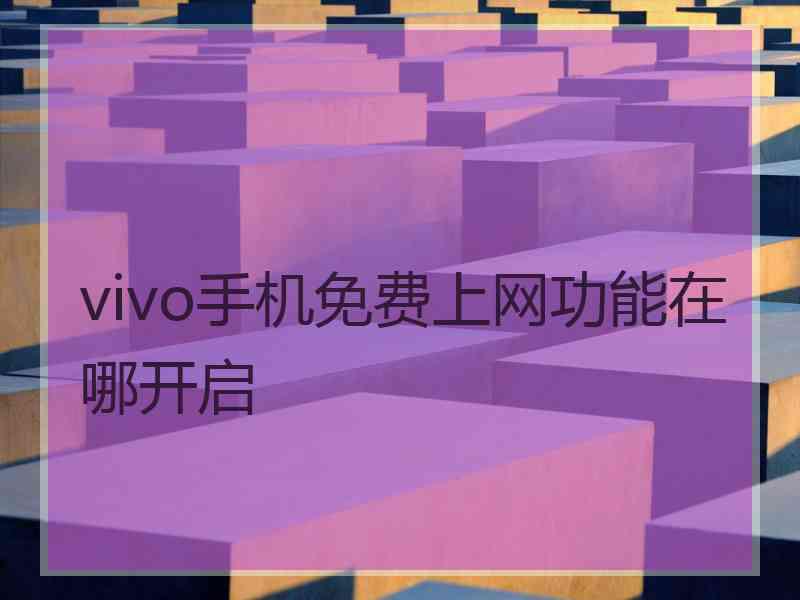 vivo手机免费上网功能在哪开启