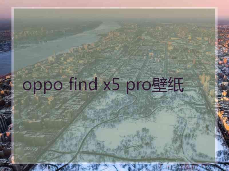 oppo find x5 pro壁纸