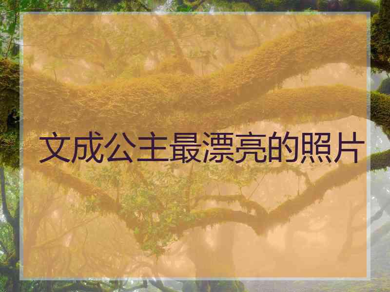 文成公主最漂亮的照片