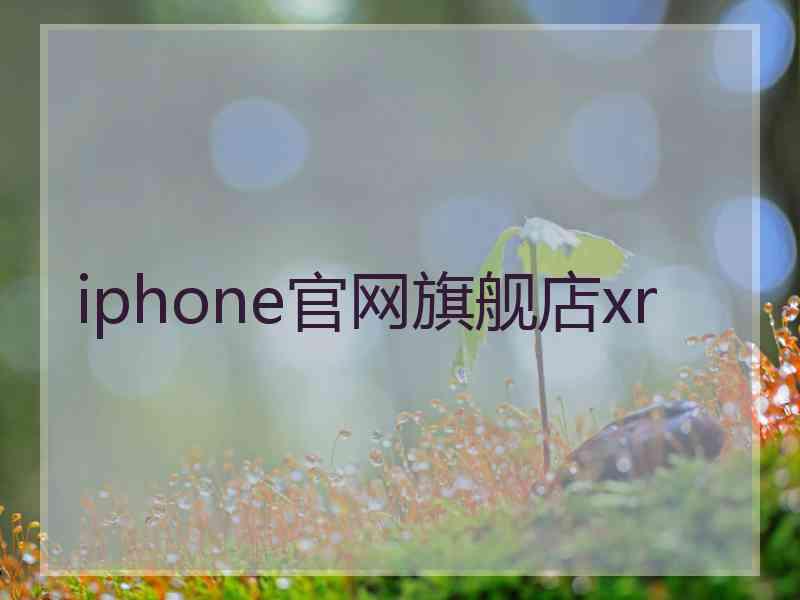 iphone官网旗舰店xr