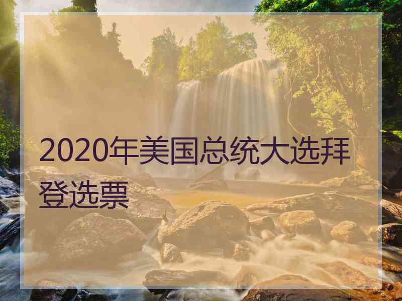 2020年美国总统大选拜登选票