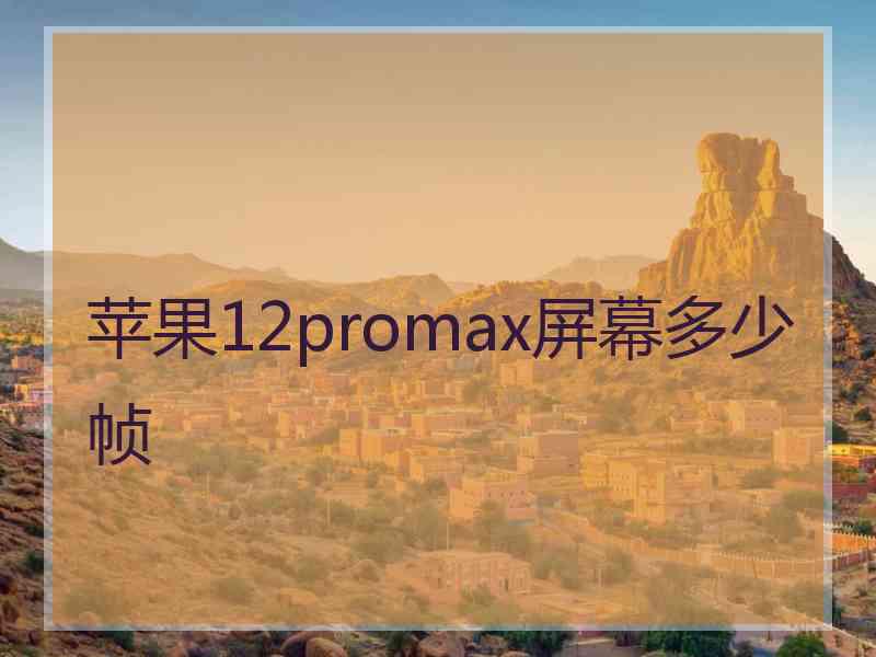 苹果12promax屏幕多少帧