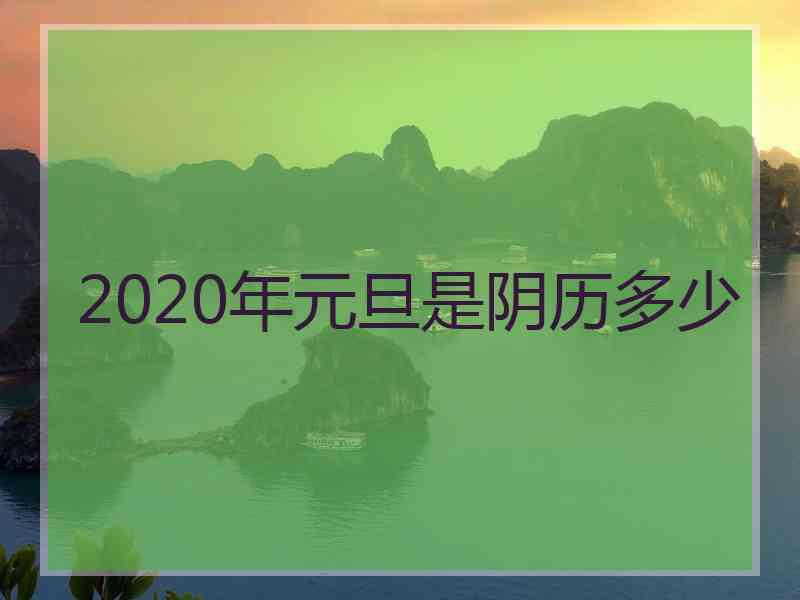 2020年元旦是阴历多少