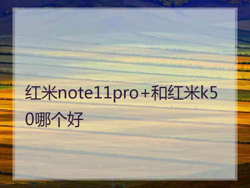 红米note11pro+和红米k50哪个好