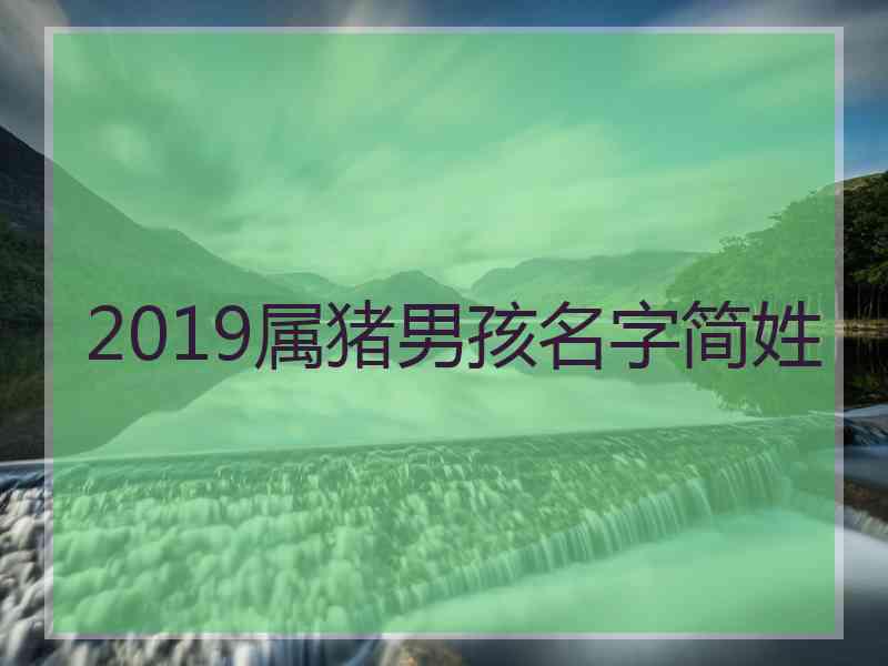 2019属猪男孩名字简姓